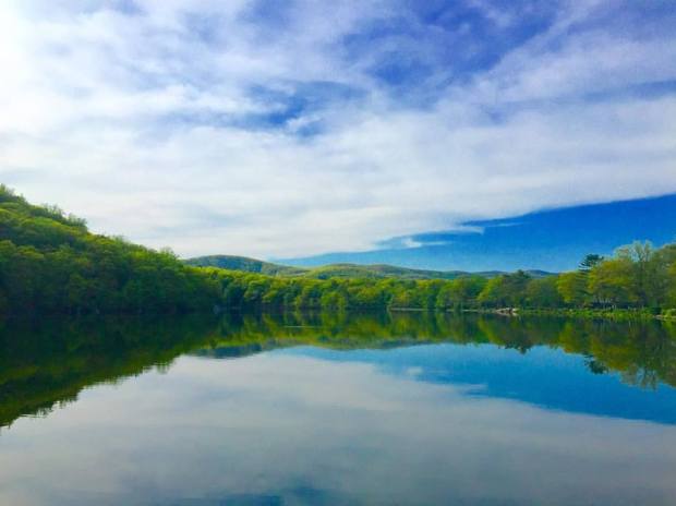 13220885_10100230334022523_1048503003307149224_n