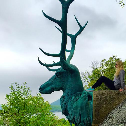 8ba1aa49-8449-45e0-89ee-018bc0ae548f